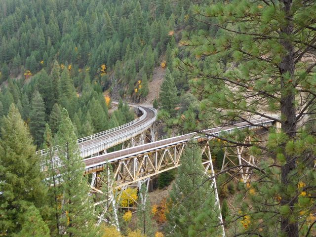 Serene mountain landscape featuring a curved railroad bridge winding through a dense pine forest with autumn foliage. Great for use in travel blogs, transportation engineering articles, or promotional material related to rail travel and scenic routes. Perfect for showcasing stunning natural environments and well-engineered transportation structures.