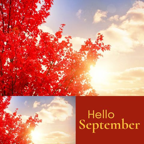 Glorious Autumn Sunset With Fiery Red Maple Leaves Welcoming September - Download Free Stock Templates Pikwizard.com