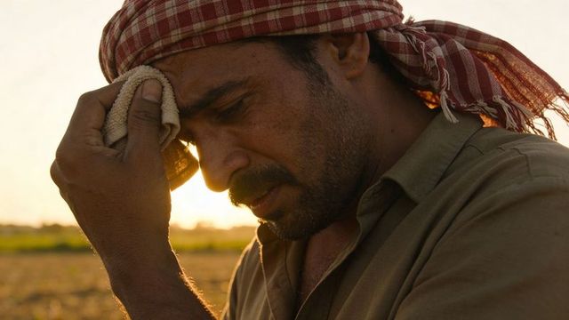 Indian farmer wiping sweat with cloth during golden hour in rural field