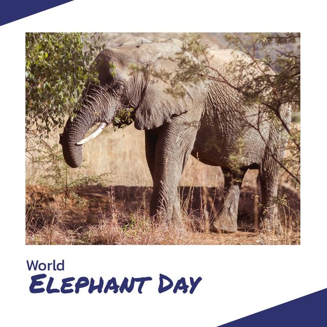 Digital composite image of elephant standing by plants on field with world elephant day text. Awareness, animal, wildlife, preservation and protection of elephants concept.
