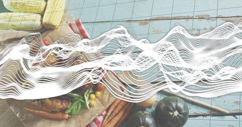 Rustic flatlay showcasing roasted chicken and fresh vegetables with abstract waveform overlay