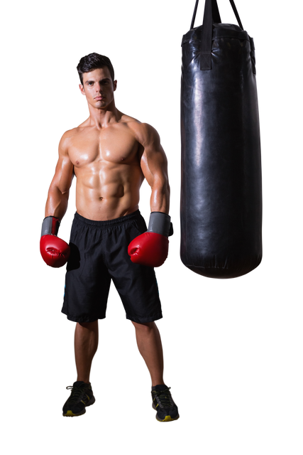 Transparent Hispanic Boxer Standing Next to Punching Bag in Training Gear - Download Free Stock Videos Pikwizard.com