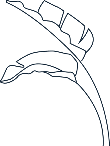 abstract curved branch with geometric leaves on transparent background - Download Free Stock Videos Pikwizard.com