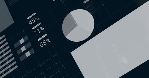 Minimalist data dashboard displaying monochrome infographic, pie chart, percent metrics