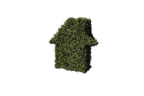 Eco-Friendly House Symbol Formed with Grass Transparency - Download Free Stock Videos Pikwizard.com