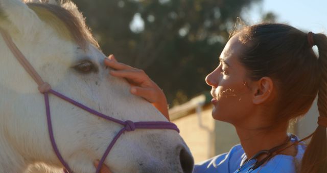 Woman Veterinarian Gently Caressing Horse Outdoors in Stable - Download Free Stock Images Pikwizard.com