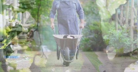 Senior Man Gardening with Wheelbarrow in Lush Greenery - Download Free Stock Images Pikwizard.com
