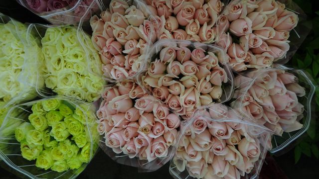 High angle view of flowers for sale in market - Download Free Stock Photos Pikwizard.com