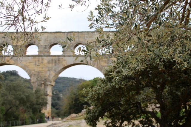 Image shows an ancient Roman aqueduct in a natural setting with trees in the foreground. Ideal for use in topics related to history, ancient Roman architecture, outdoor exploration, heritage sites, or travel scenic spots.