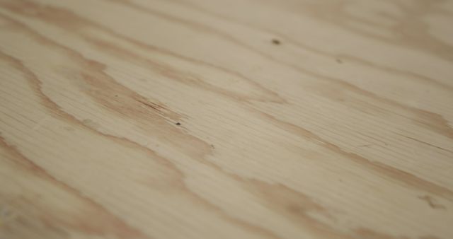 Close up of a piece of freshly cut wood in a woodshop. Light pine coloured wood with a darker grain