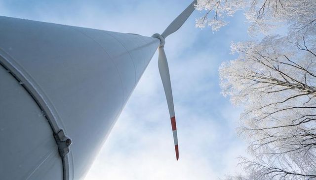 Low-angle wind turbine with frosty birch trees and red-tip blade under pale winter sky