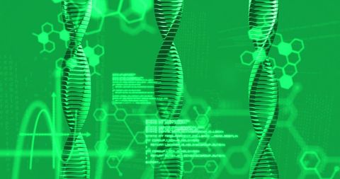 Digital DNA Sequence and Data Analysis in Biotechnology - Download Free Stock Images Pikwizard.com