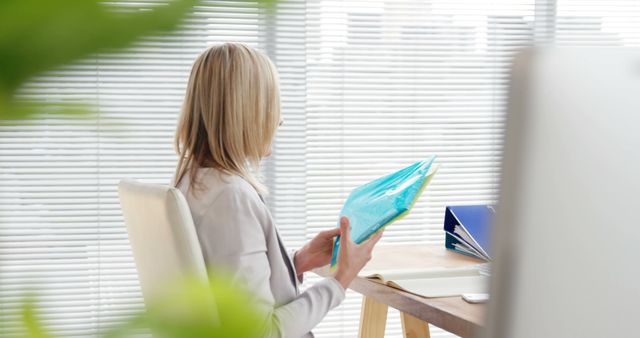 Businesswoman Reviewing Documents by Window in Office - Download Free Stock Images Pikwizard.com