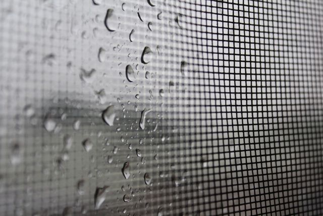 Rain Droplets on Window Screen Creating a Calm Atmosphere - Download Free Stock Photos Pikwizard.com