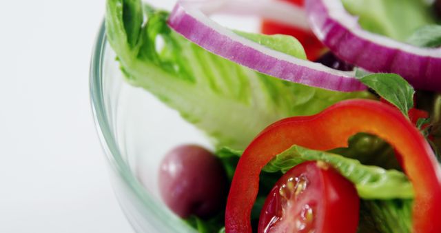 Fresh Vegetable Salad with Lettuce, Bell Pepper, and Tomato - Download Free Stock Images Pikwizard.com