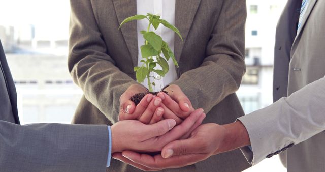 Business professionals, diverse in ethnicity, are holding a small plant together, symbolizing teamwork and environmental responsibility. Their collaboration represents a commitment to sustainability and growth within their organization.