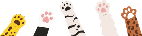 Colorful animal paws with fur patterns on transparent background