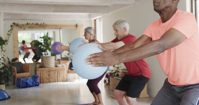 Seniors Exercising with Fitness Balls during Group Workout in Natural Light Room - Download Free Stock Images Pikwizard.com