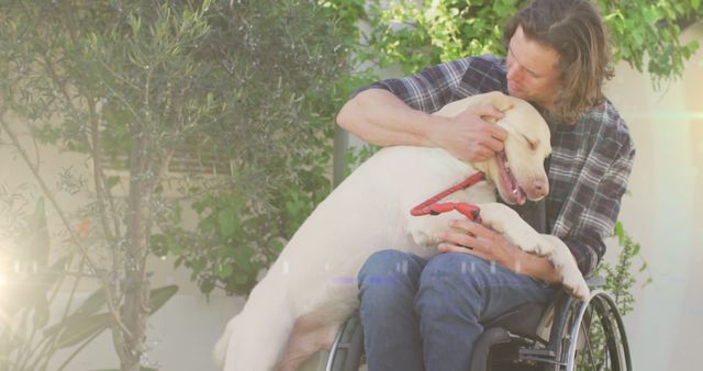 Man in Wheelchair Cuddling with Campanian Dog in Backyard - Download Free Stock Images Pikwizard.com