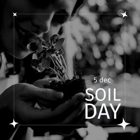 Celebrating soil day with joy of gardening and new growth