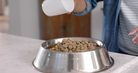 Careful Preparation of Nutritious Meal for Pet Companion