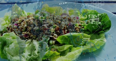 Digital Fusion with Healthy Butter Lettuce Salad Wraps