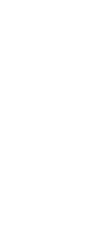 Full length silhouette of businesswoman with megaphone on transparent background