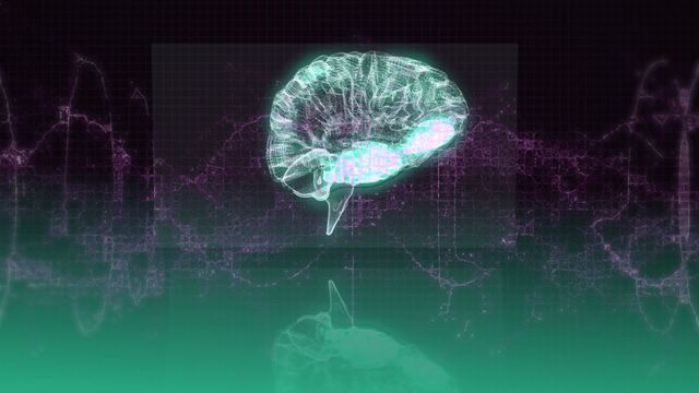 Animated depiction showing a human brain with overlaid digital purple waves on a green background. Suitable for illustrating concepts in medical research, neuroscience, technology, data visualization, and futuristic themes. Ideal for use in educational materials, presentations, technology blogs, and scientific demonstrations.