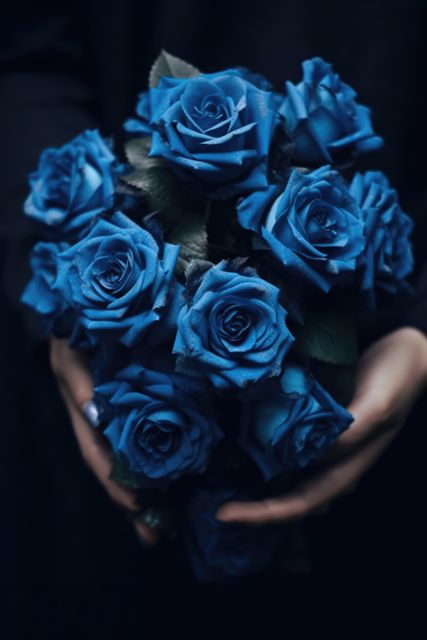 Hands holding a bouquet of blue roses against a dark background. This image evokes feelings of elegance and romance, making it ideal for use in wedding invitations, romantic greeting cards, flower shop advertisements, and artistic projects focusing on unique floral arrangements.