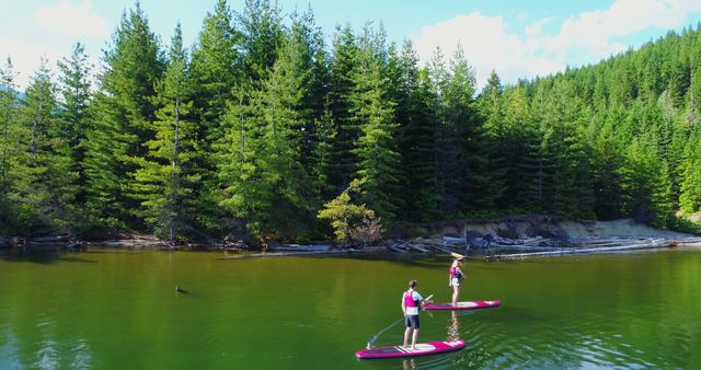 Two people are stand-up paddleboarding on a serene lake surrounded by lush green forests, with copy space. Paddleboarding offers a tranquil way to explore natural waterways and engage in outdoor recreation.