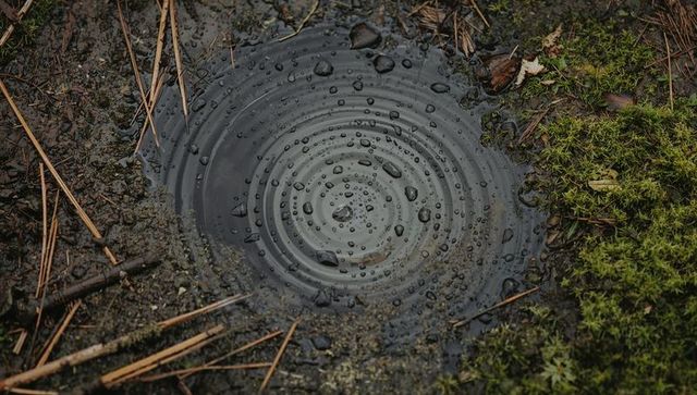 Concentric rain ripples on forest floor puddle with moss and pine needles