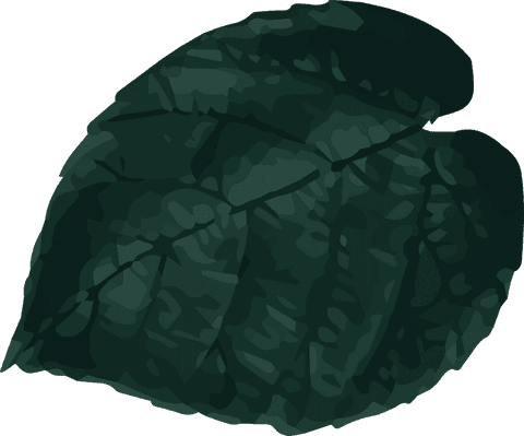 Stylized Green Tropical Leaf on Transparent Background - Download Free Stock Videos Pikwizard.com