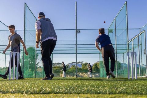 Diverse cricketers practicing bowling and batting in outdoor net cages on sunny suburban turf