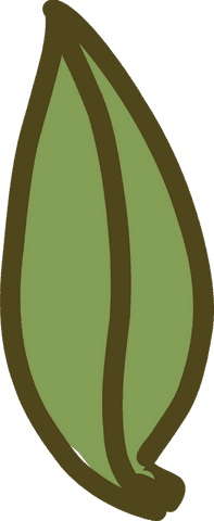 transparent cartoon green leaf with brown outline - Download Free Stock Videos Pikwizard.com