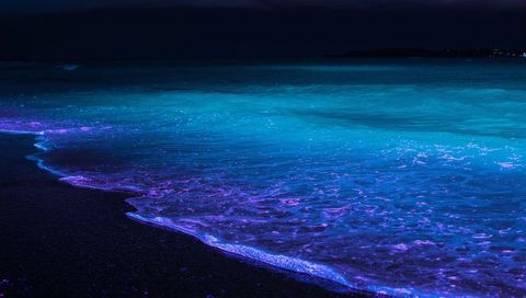 Bioluminescent waves glowing turquoise and purple foam along night coastal shoreline