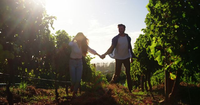 A young Caucasian couple holds hands while walking through a vineyard at sunset, with copy space. Their leisurely stroll among the grapevines suggests a romantic or relaxing getaway in a rural setting.