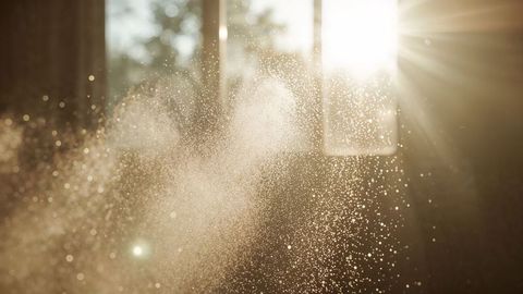 Sunlit milk powder particles floating in air by open window of room
