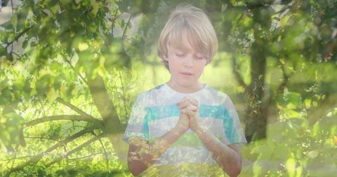 Caucasian Boy Praying in Nature, Serenity and Faith