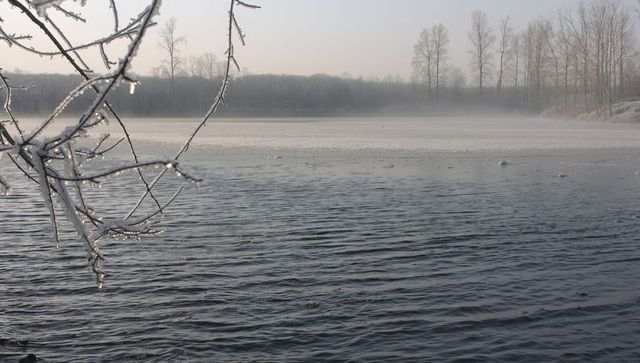 Glinting iced branches over misty winter lake with rippling water and thin ice