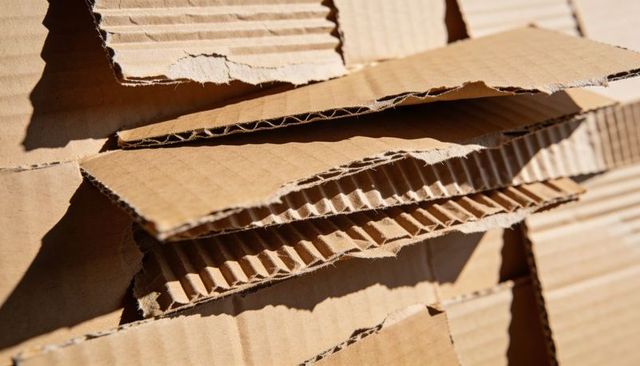 Torn Corrugated Cardboard Closeup Showing Layered Fluting, Paper Fibers and Rugged Texture