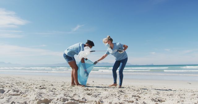 Image shows volunteers actively engaged in cleaning a beach by picking up trash and collecting it in bags. This could be used for environmental conservation projects, community service promotions, or highlighting sustainable practices. Perfect for articles and social media campaigns focused on environmental awareness and volunteer activities.