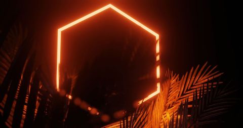 Orange neon hexagon with tropical leaves in moody lighting