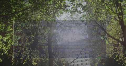 Merging Nature and Technology Overlay in Urban Environment