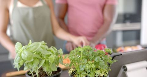 Couple Gardening Indoors with Herbs in Modern Kitchen
