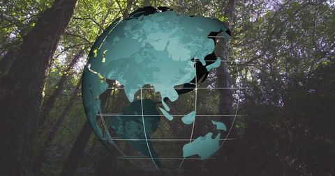 Translucent globe overlaying forest canopy conveying sustainability and geospatial tech