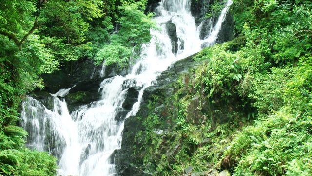 Cascading waterfall surrounded by lush green forest. Can be used for presentations, advertising related to travel, nature conservation campaigns or desktop wallpapers.