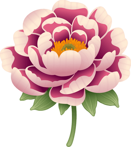 Elegant Pink Flower with Green Leaves on Transparent Background