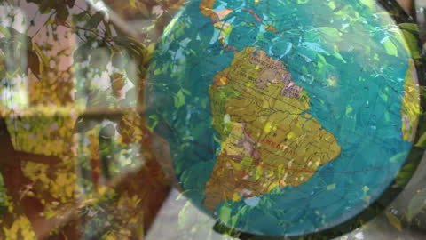 Overlay of Earth Globe with Green Leaves in Library