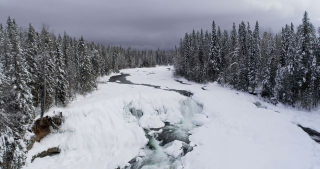 Aerial of stream flowing through snowy forest during winter 4k