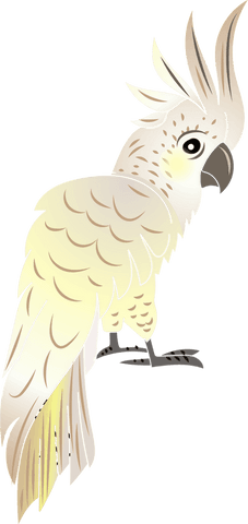 Elegant Cockatoo with Yellow Crest Standing on Transparent Background